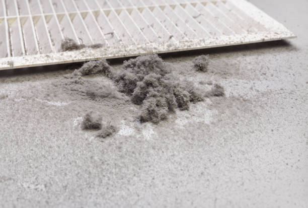Best HVAC Duct Inspection Services  in Jeffersonville, IN